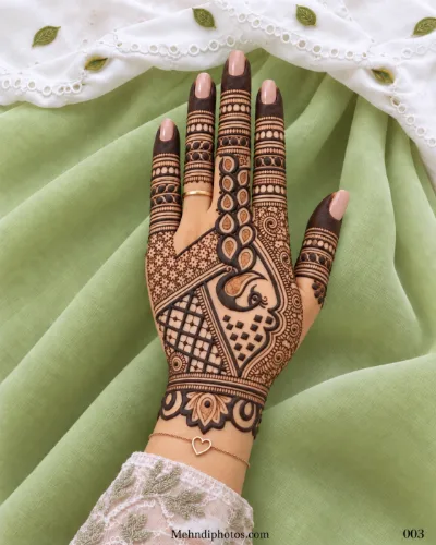 Back hand with an intricate Arabic mehndi design featuring a bold paisley, teardrop chain, geometric meshwork and decorative finger bands.